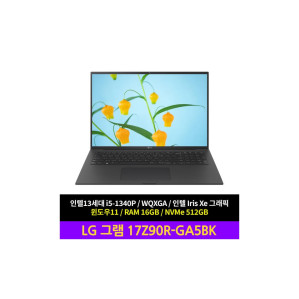 LG전자 그램17 17Z90R-GA5BK